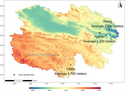 Association of altitude and frailty in Chinese older adults: using a cumulative frailty index model